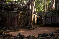 DSC_9301.jpg