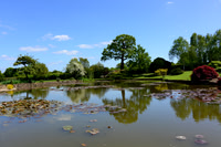 Crowhurst Gardens Surrey