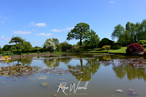 Crowhurst Gardens Surrey