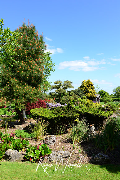 Crowhurst Gardens Surrey