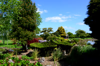 Crowhurst Gardens Surrey