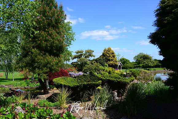 Crowhurst Gardens Surrey
