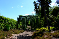 Crowhurst Gardens Surrey