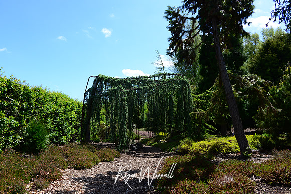 Crowhurst Gardens Surrey