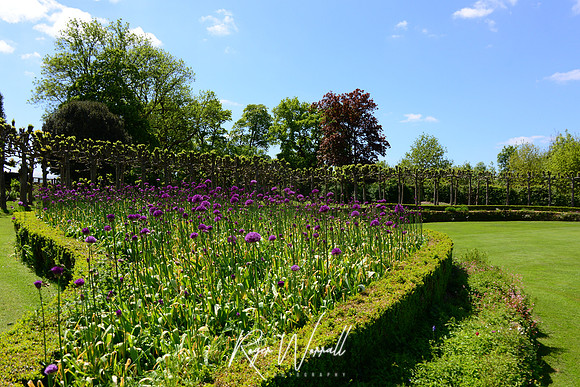 Crowhurst Gardens Surrey