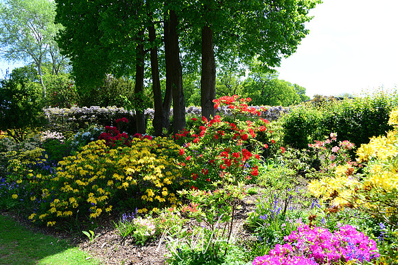 Crowhurst Gardens Surrey
