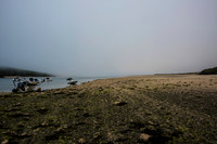 Rock in the Fog