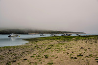 Lifting Fog
