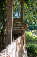 DSC_9565.jpg