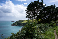 Coastal Walk