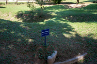 DSC_9549.jpg