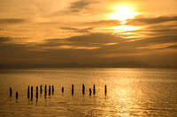 DSC_9698.jpg