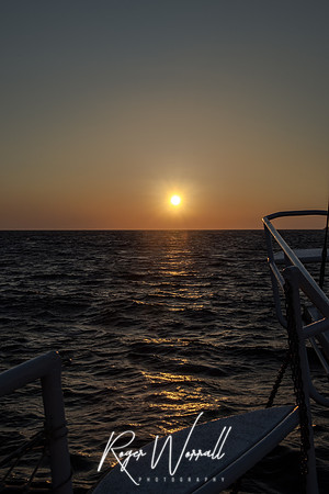 Sail to the Sun
