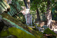 DSC_9260.jpg