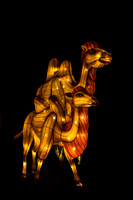 Festival of Lights