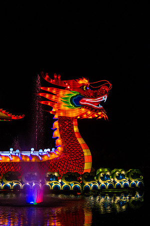 Festival of Lights