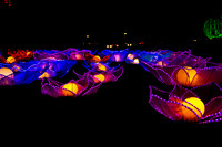 Festival of Lights