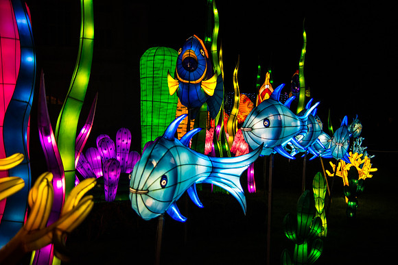 Festival of Lights