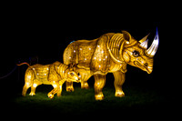 Festival of Lights