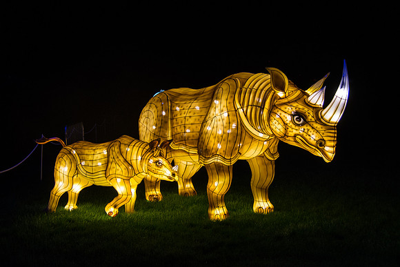 Festival of Lights