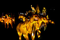 Festival of Lights