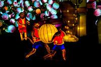 Festival of Lights