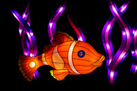 Festival of Lights