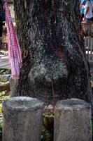 DSC_9577.jpg