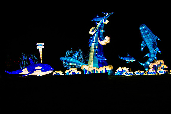 Festival of Lights
