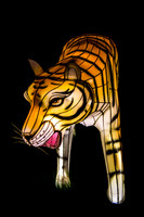 Festival of Lights