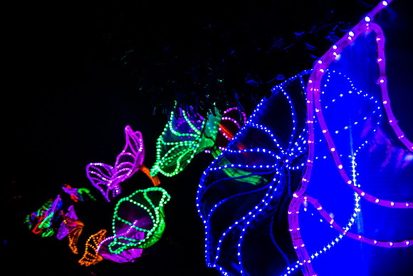 Festival of Lights