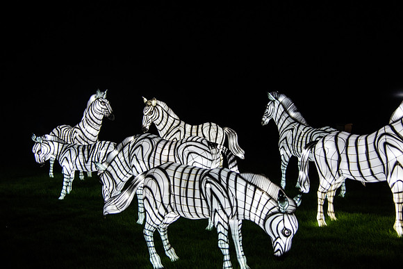 Festival of Lights