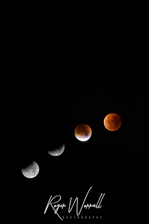 Lunar Eclipse