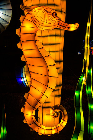 Festival of Lights