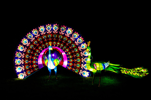 Festival of Lights
