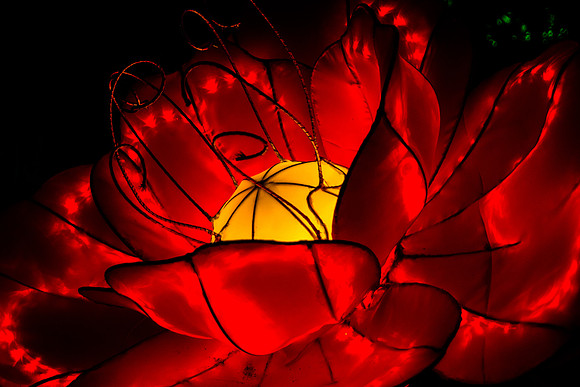 Festival of Lights