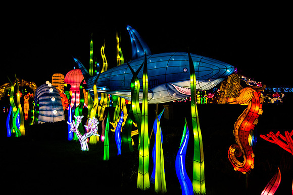 Festival of Lights