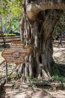 DSC_9582.jpg