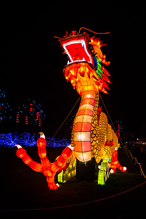 Festival of Lights