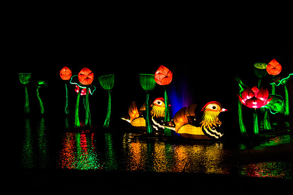 Festival of Lights