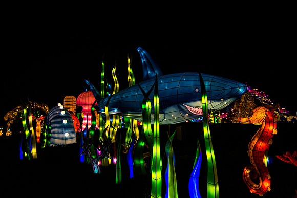 Festival of Lights