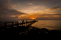 DSC_9866.jpg