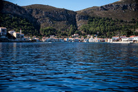 DSC_4733.jpg