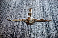 Diver Dubai Mall.jpg