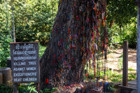 DSC_9575.jpg