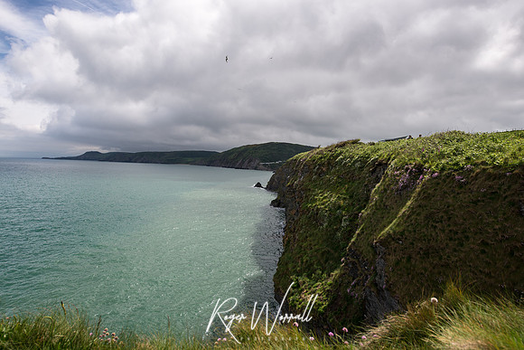 Wales 2017 - Cardigan - Aberporth - Tresaith-61.jpg