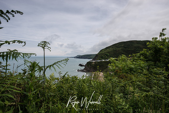 Wales 2017 - Cardigan - Aberporth - Tresaith-67.jpg