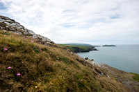 Wales 2017 - Cardigan - Aberporth - Tresaith-157.jpg
