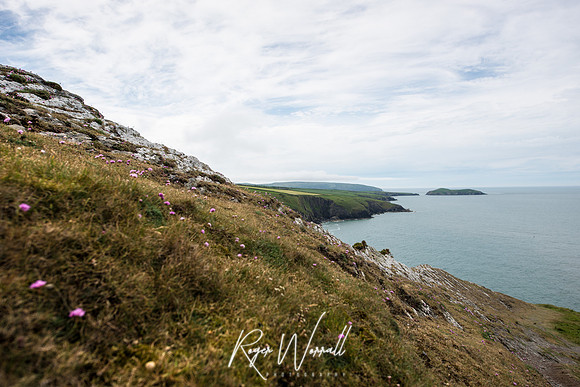 Wales 2017 - Cardigan - Aberporth - Tresaith-157.jpg