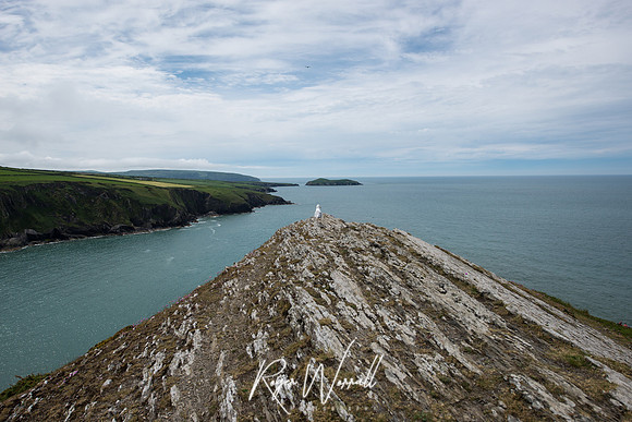 Wales 2017 - Cardigan - Aberporth - Tresaith-162.jpg